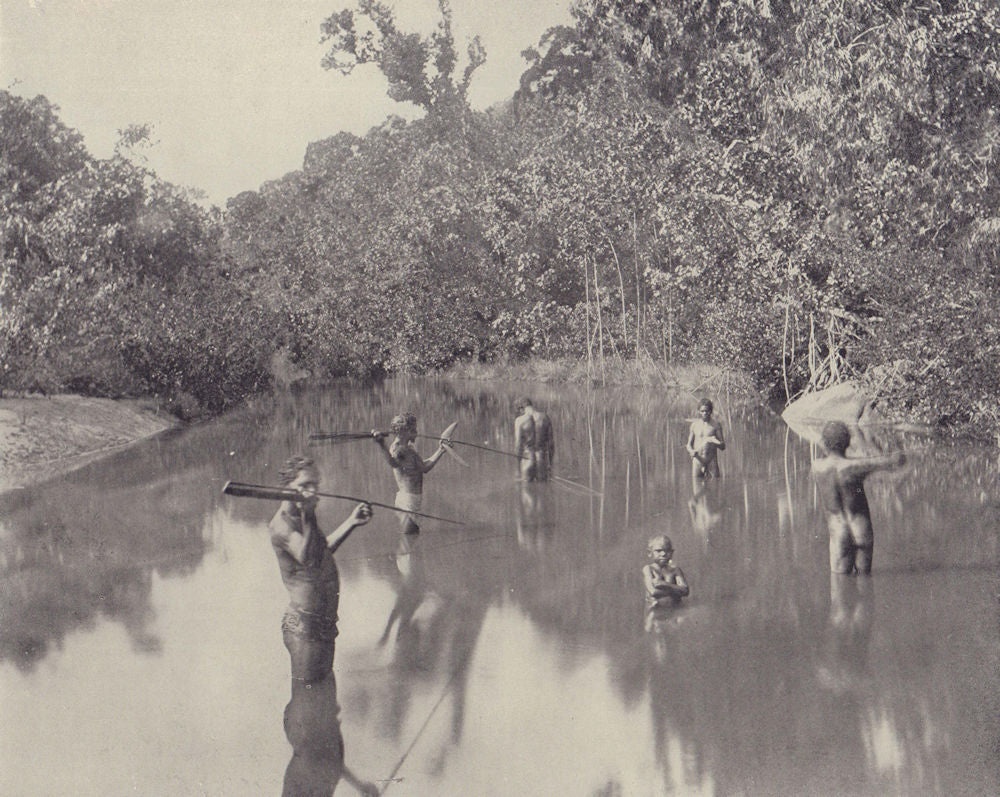 Australian Aborigines Spearing Fish. Boomerang. STODDARD 1895 old print